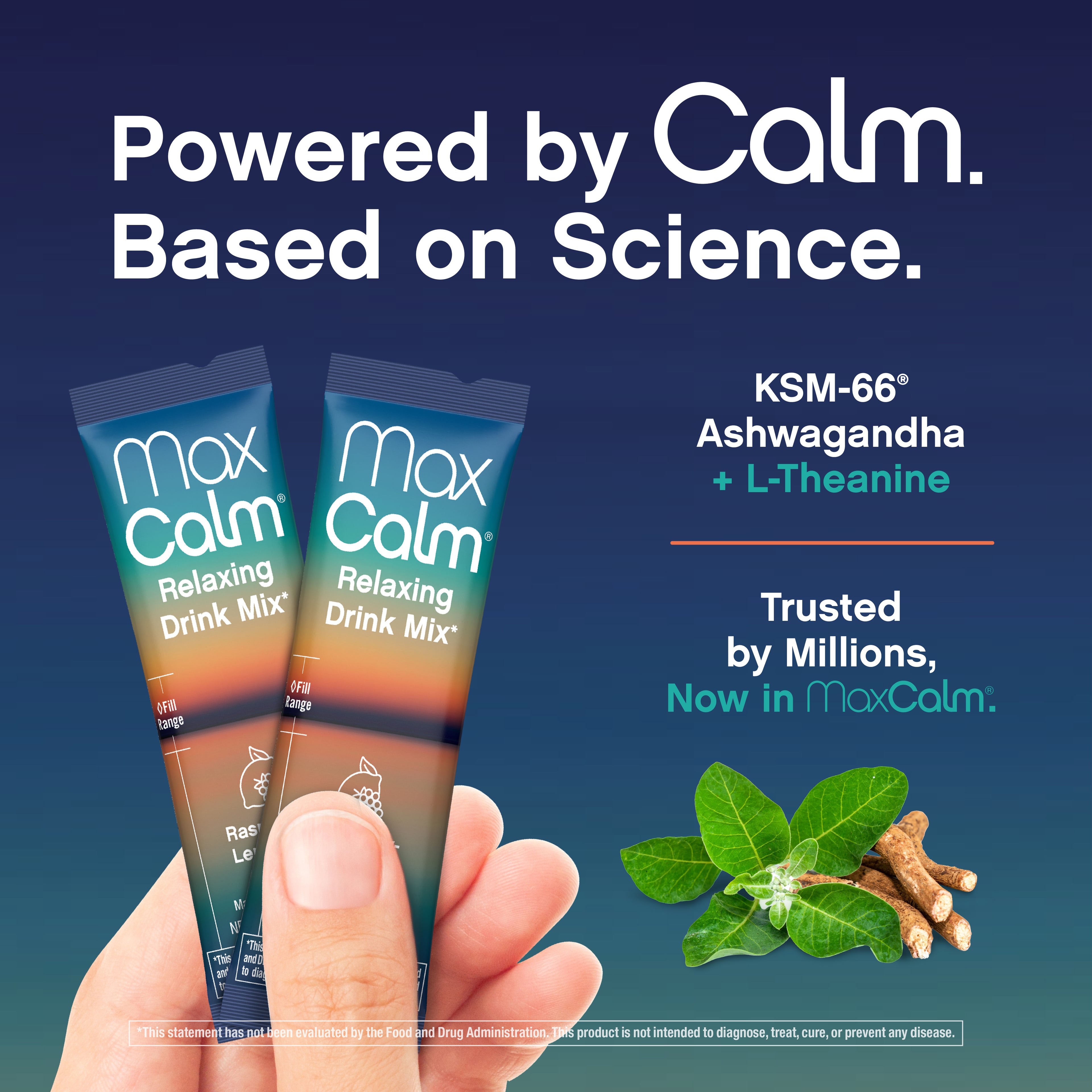Max Calm Relaxing Drink Mix | Raspberry-Lemonade Flavor | Magnesium & KSM-66 Ashwagandha Supplement | Supports Relaxation | 30 Single-Serve Packets